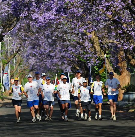 south_africa_jacaranda_blossoms.jpg