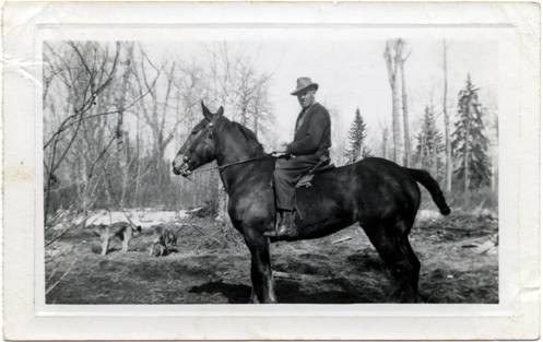 4h_stan_davis_horse[1].jpg
